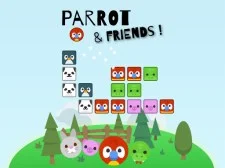 Parrot And Friends